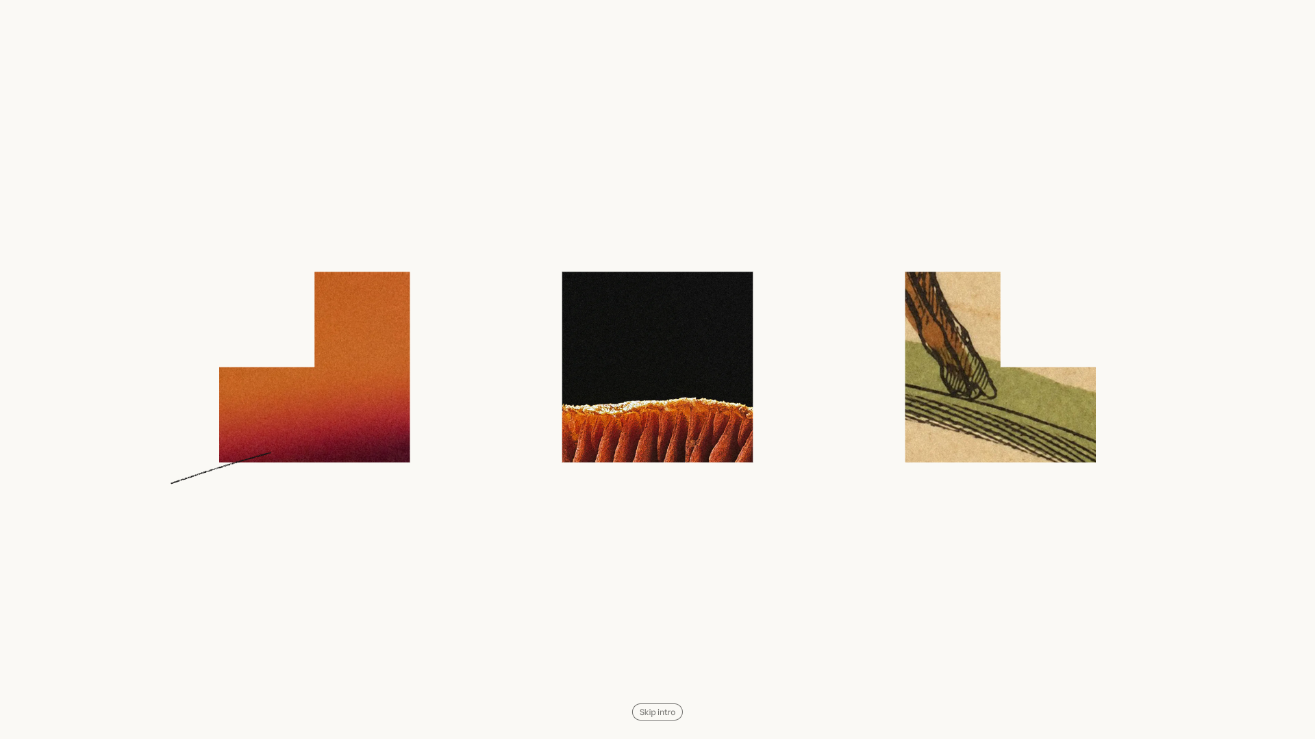 Claude Haiku 5.5 logo