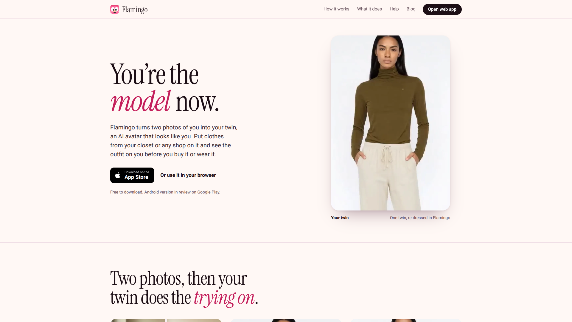 Flamingo logo