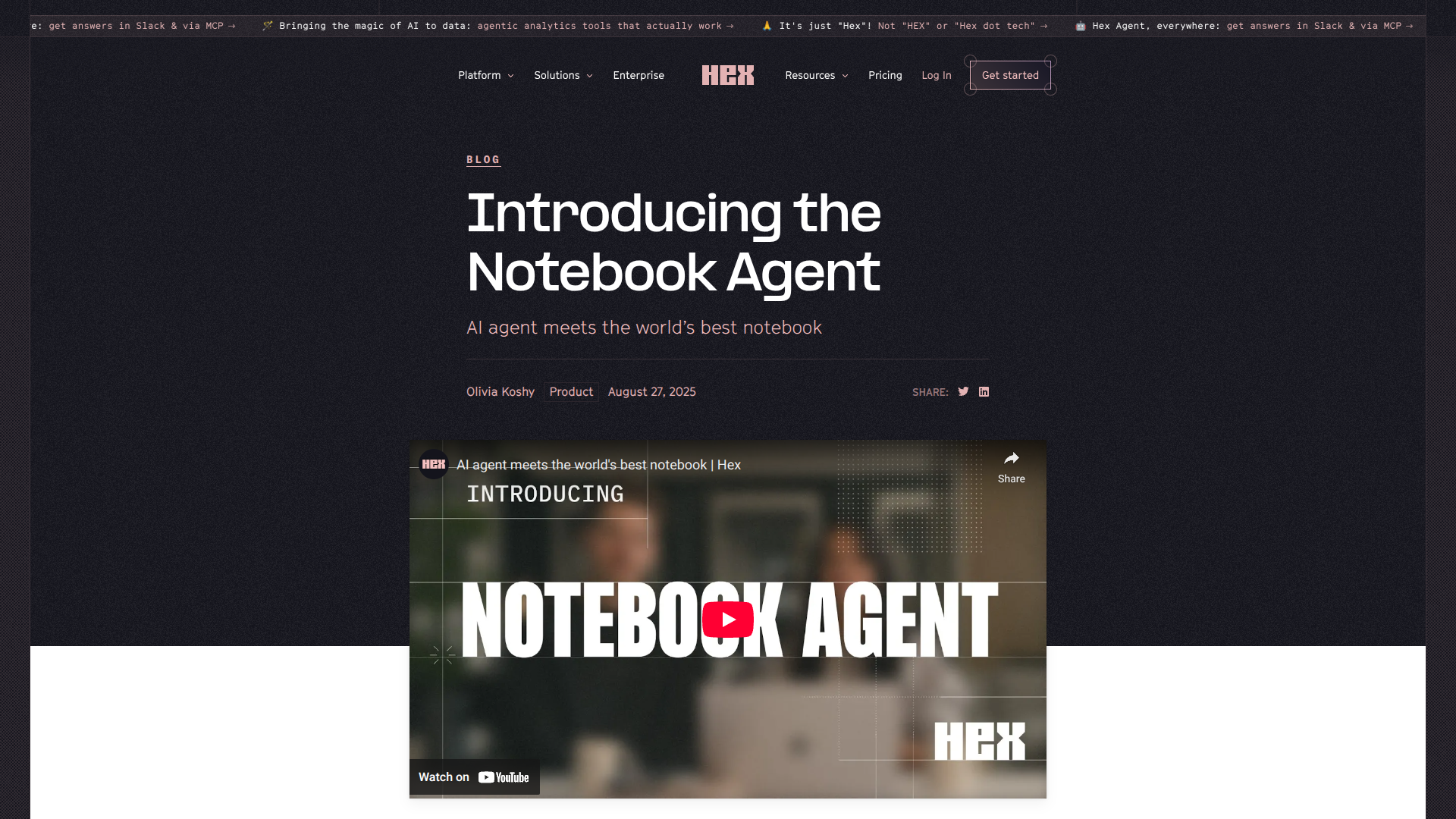 Hex Notebook Agent logo