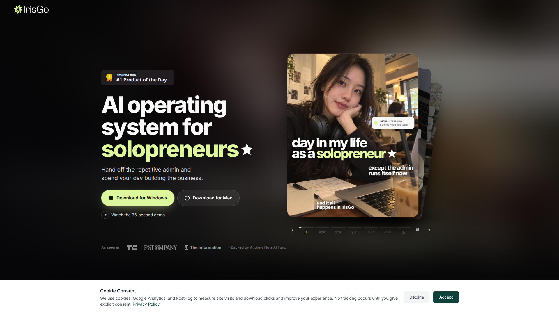 IrisGo for Solopreneurs logo