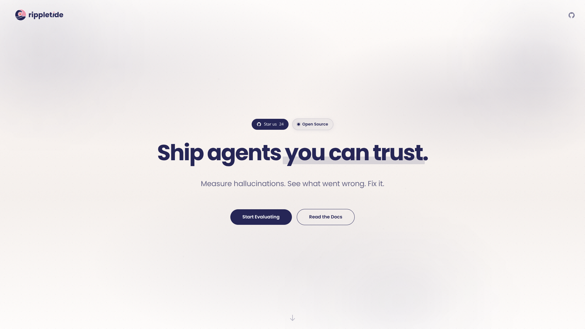 Rippletide Eval CLI logo