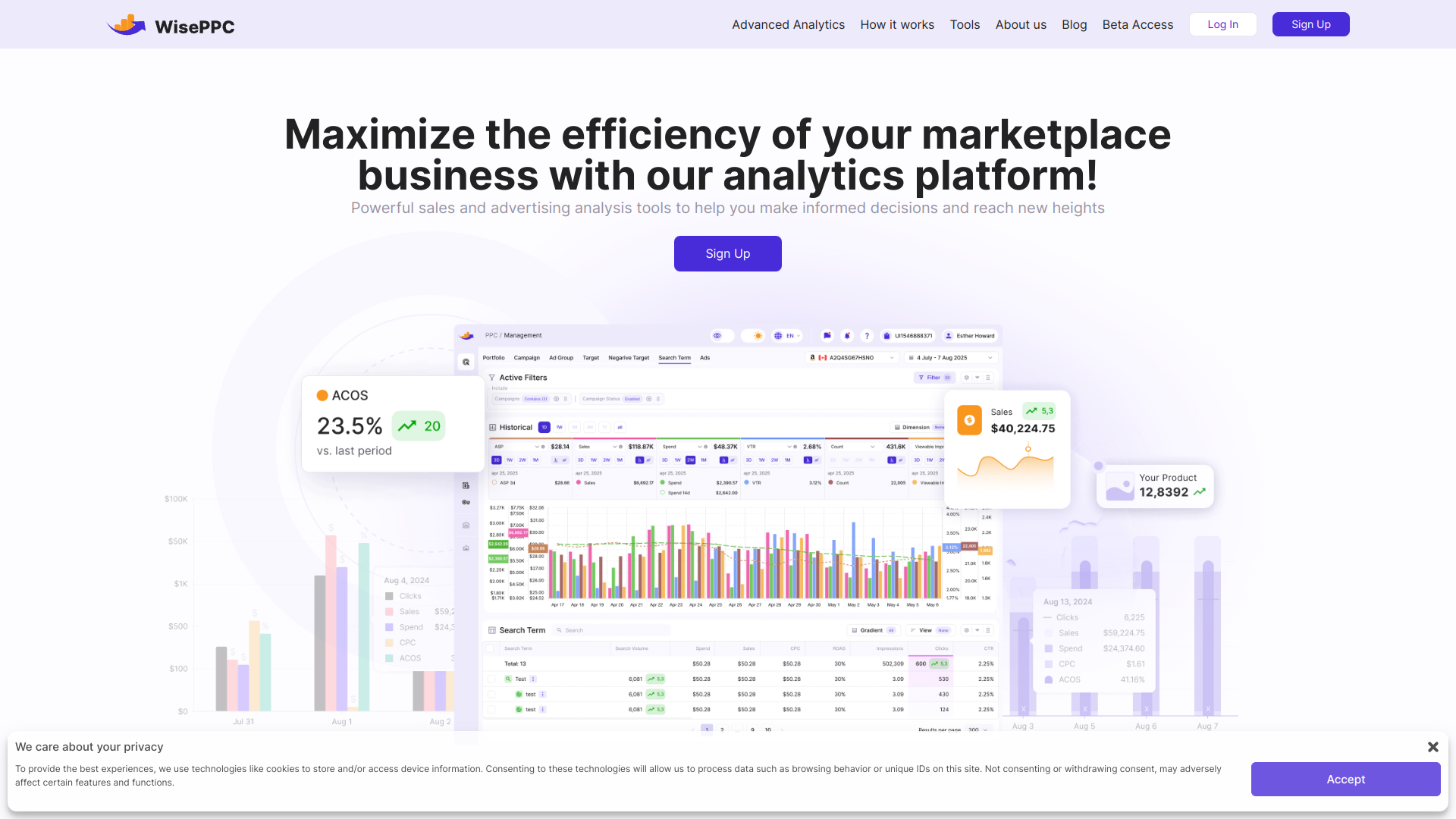WisePPC screenshot