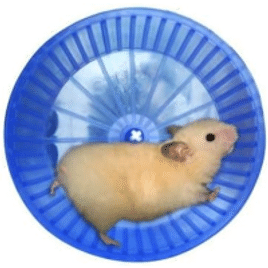 Rodinha Plástica para Hamster - Mr Pet