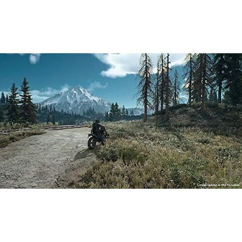 Jogo Days Gone - PC