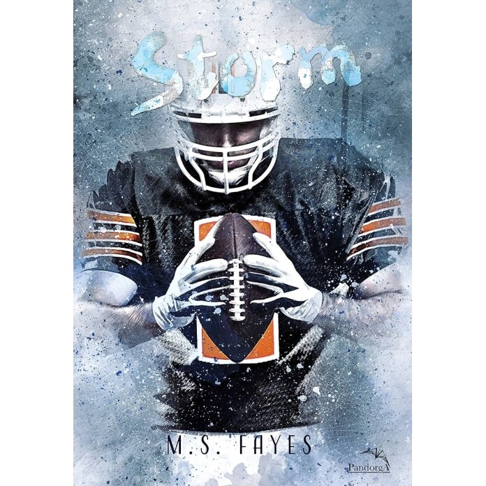 Livro Storm - M.S. Fayes