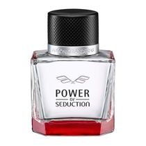 Power of Seduction Perfume Masculino Eau de Toilette