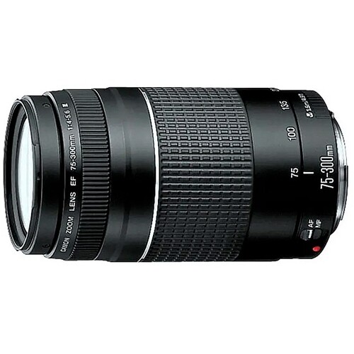 Lente Canon EF 75-300mm f/4-5.6 III Para Câmeras EOS SL3 EOS SL2 EOS SL1 E Outros Modelos Compatíveis