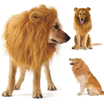 Fantasia de leão juba com orelha para cães