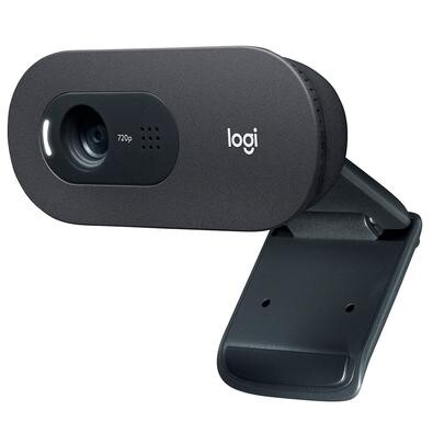 Webcam Logitech C505 720P HD 30 FPS com Microfone 3 MP USB - 960-001367