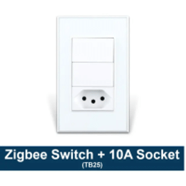 Tomada Smart Zemismart-Tuya Zigbee 10A Socket Switch