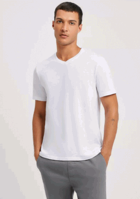 Camiseta Básica Masculina Flamê Com Decote V Hering