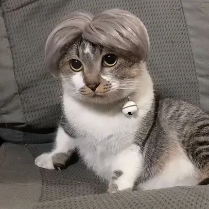 Peruca Felina Platinada