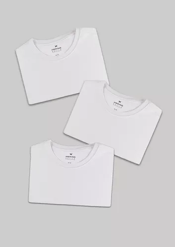 Kit Com 3 Camisetas Femininas Básicas Hering