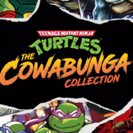 Jogo Teenage Mutant Ninja Turtles: The Cowabunga Collection - PC Steam