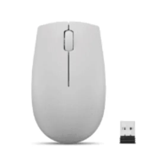 Mouse Lenovo 300, Sem Fio, Compacto, Cinza - Gy51l15678