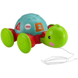 Brinquedo Empurra Tartaruga Y8652 - Fisher Price
