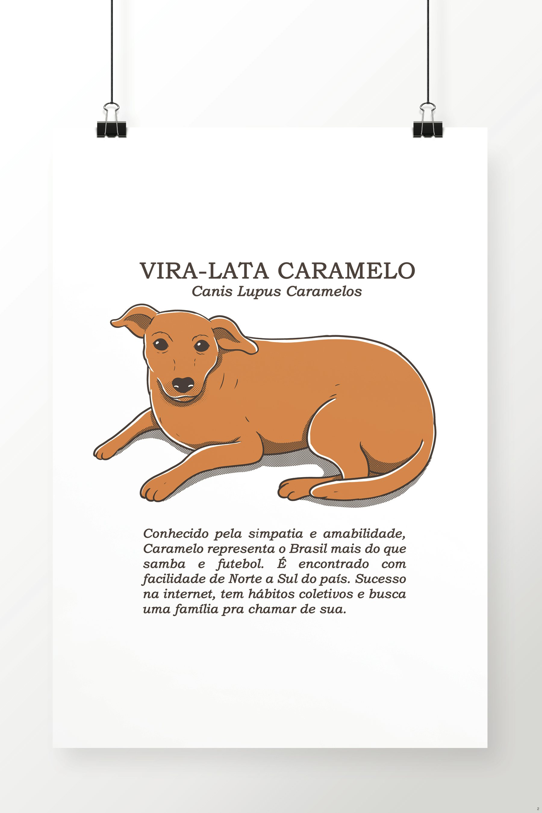 Poster Vira-Lata Caramelo