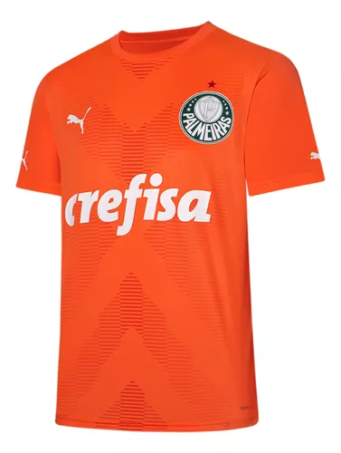 Camiseta Puma Palmeiras Goleiro Third Jersey Torcedor