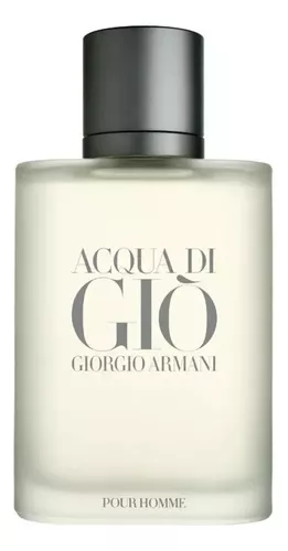 Perfume - Acqua Di Gio Giorgio Armani 100ml