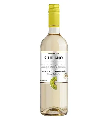 Chilano Vinho Chileno Branco Sauvignon Blanc 750Ml