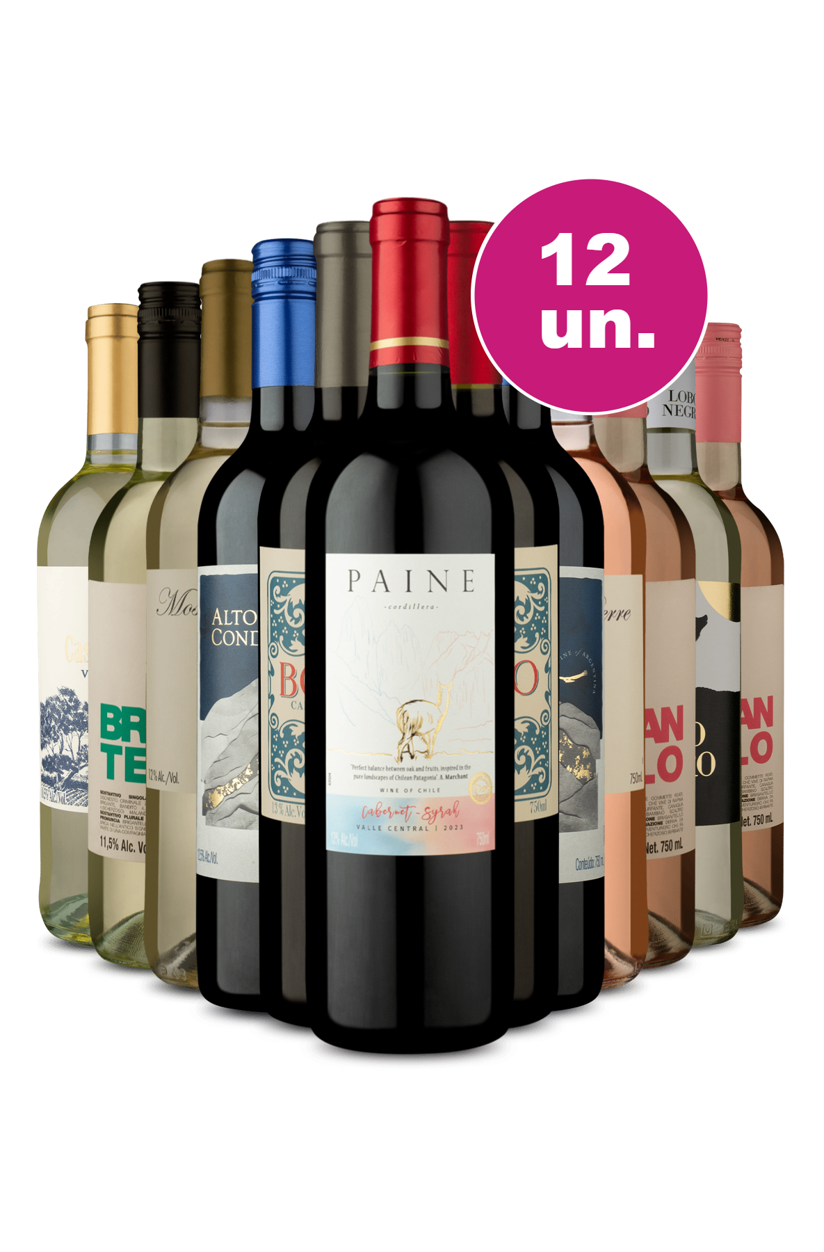 Kit 12 Vinhos - 19,90 por Garrafa