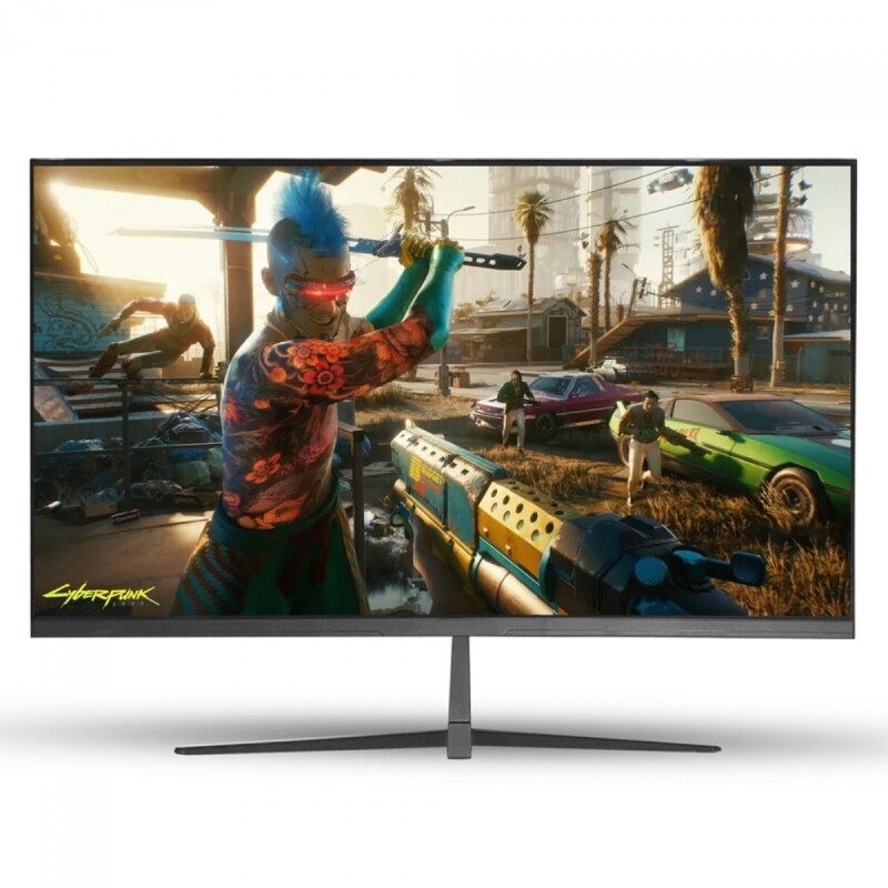 Monitor Gamer Duex 24 Pol Full HD IPS 1ms 165Hz FreeSync HDMI/DP DX240G