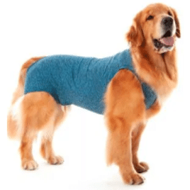 Roupa Pós-Cirúrgica para Cães Machos Castração Pet Med Azul Nº 16