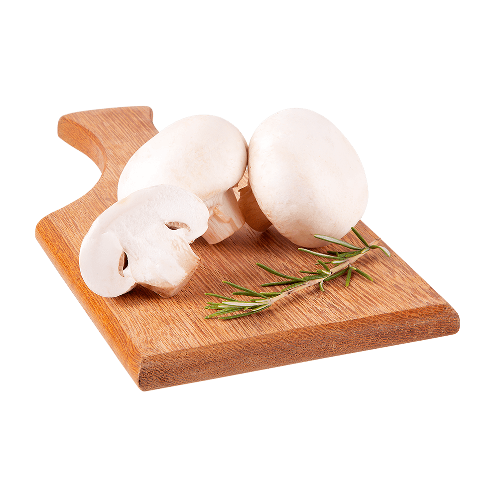 [ REGIONAL ] Cogumelo Champignon Paris Hochibra 200 G