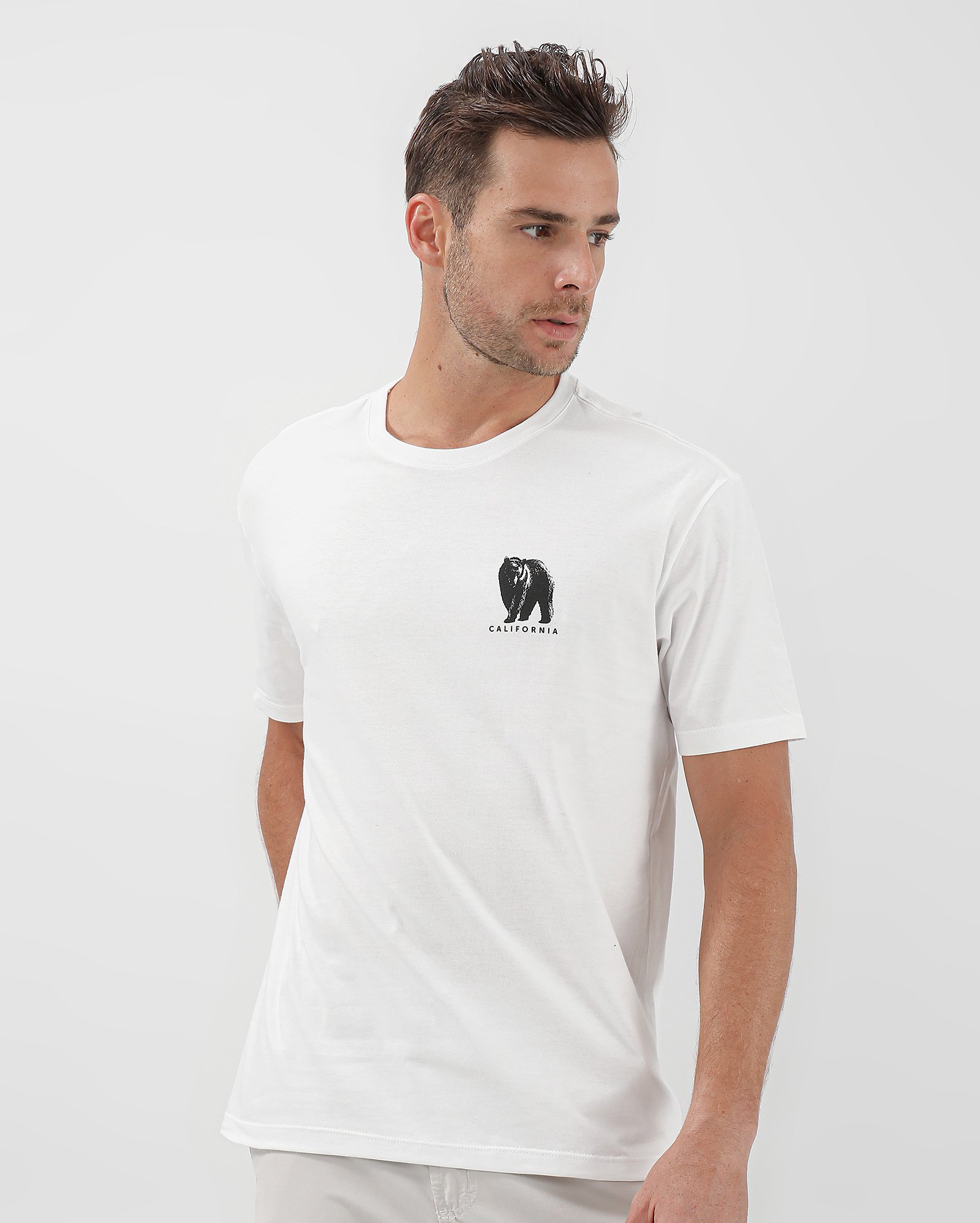 Camiseta Masculina Urso Califórnia Pool