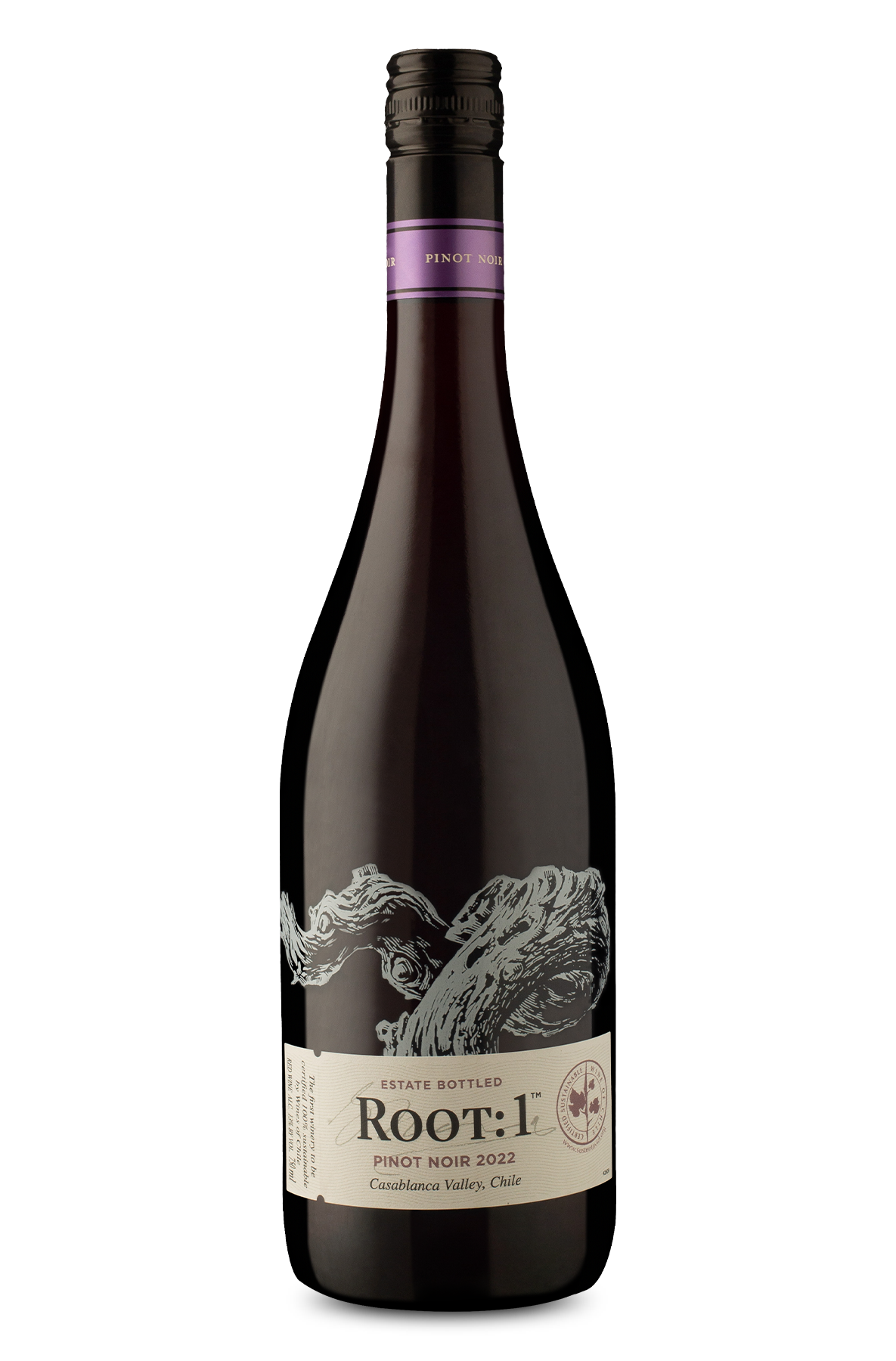 Root: 1 D.O Valle De Casablanca Pinot Noir 2022 - Vinho Wine