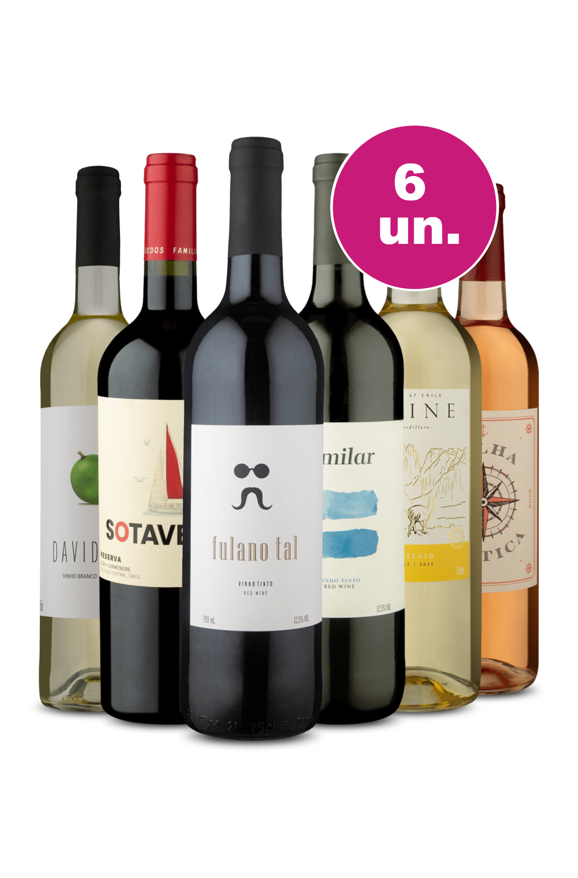 Kit 6 Vinhos - Mix Wine