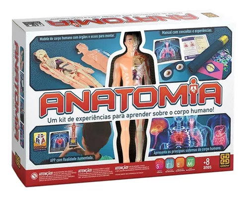 Jogo Brinquedo Educativo Anatomia Corpo Humano Grow