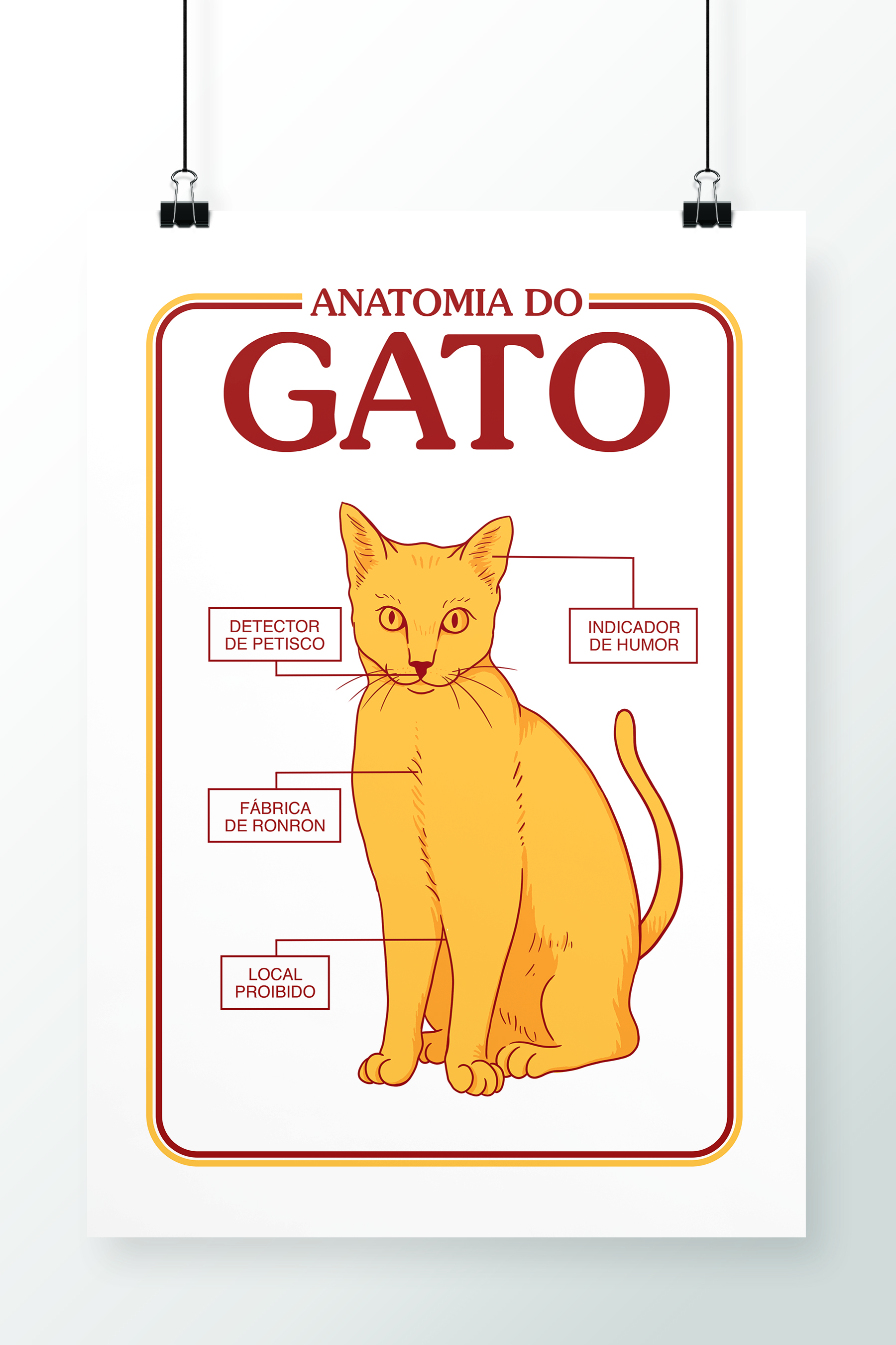 Poster Anatomia Do Gato