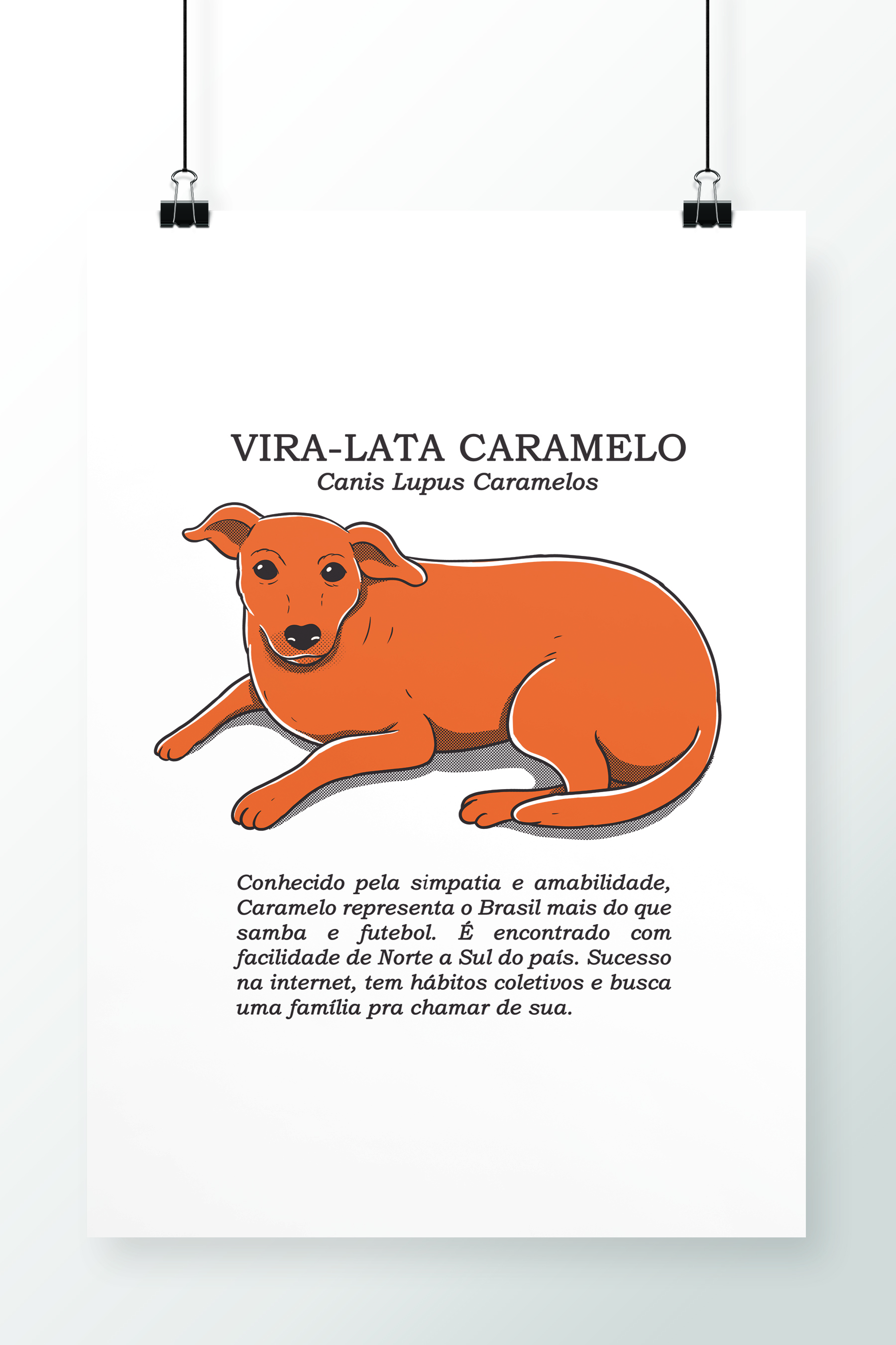 Poster Vira-Lata Caramelo