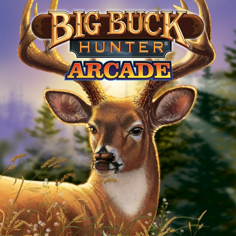 Jogo Big Buck Hunter Arcade - PS4