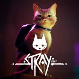 Jogo Stray - Xbox One & Xbox Series X|S