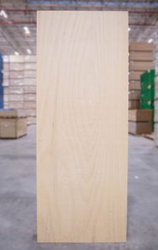 Porta Semioca Capa Virola 92cm x 2100x35mm para Pintura Santin