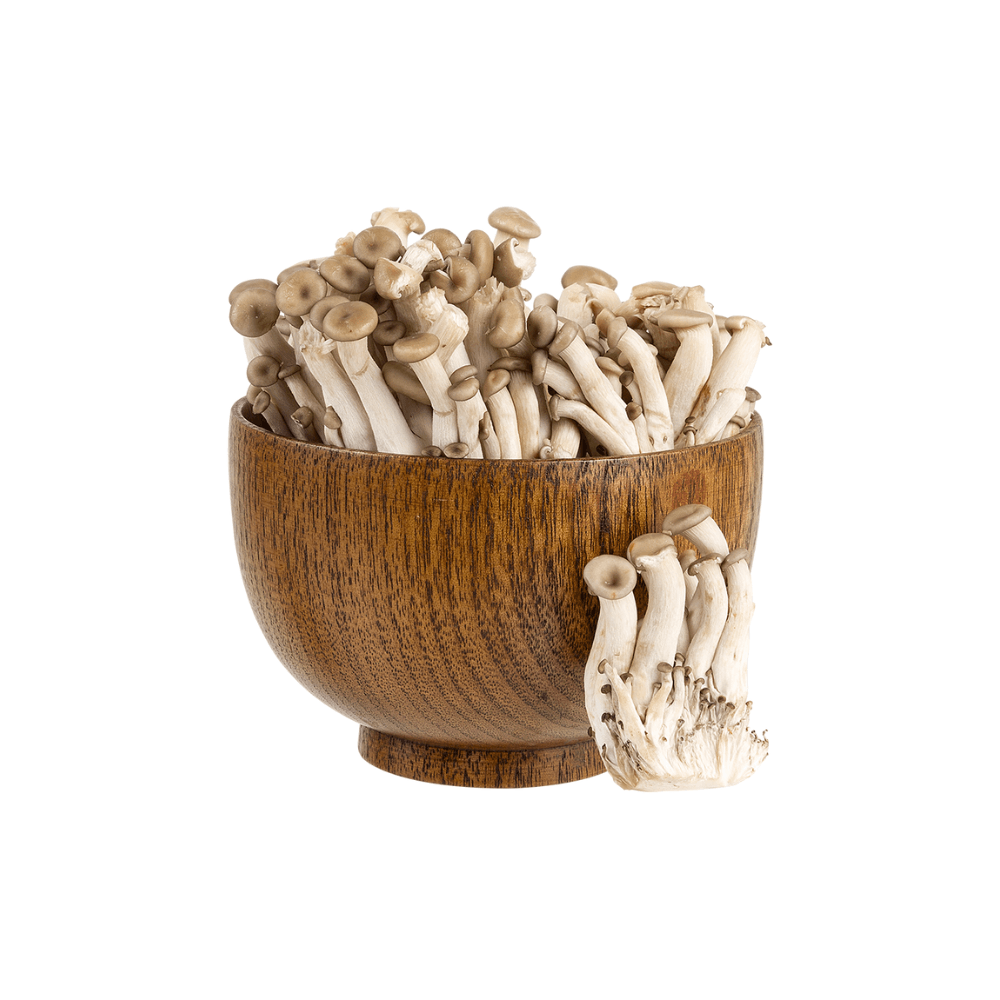 [ REGIONAL ] Cogumelo Shimeji Preto Hochibra 200 G