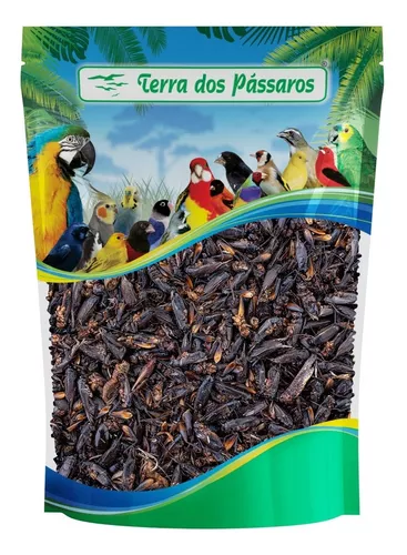 Grilo Desidratado Seco Proteína Pura Pássaros Répteis 50g