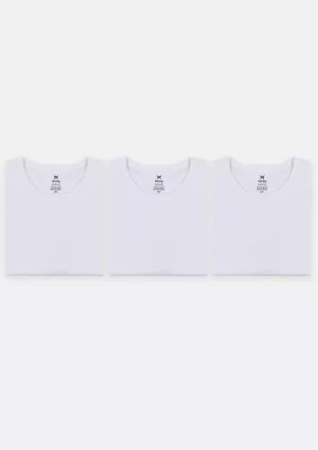 Kit Com 3 Camisetas Masculinas Básicas Hering
