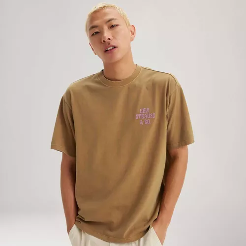 Camiseta Levi's® Vintage Fit Graphic Caqui Lb0010521