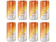 Bebida Mista Beats Tropical Gin e Frutas Tropicais