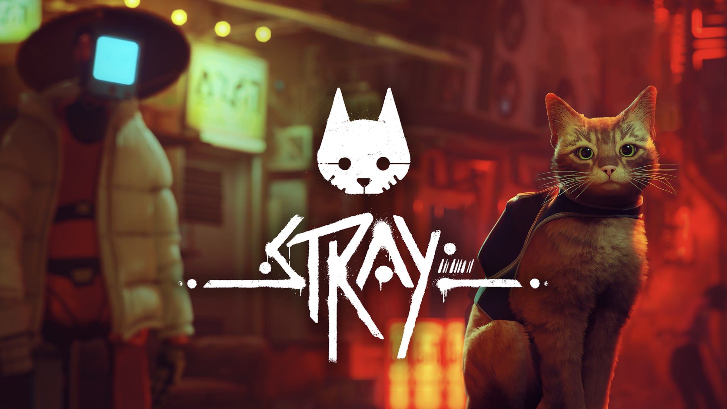 Jogo Stray - Nintendo Switch 2