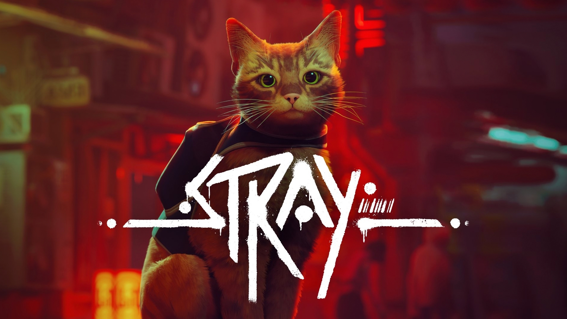 (Steam) Jogo Stray - PC