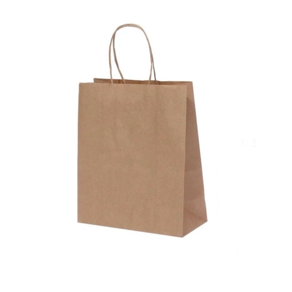 10~50 SACOLA  DE PAPEL KRAFT 21,5X17,5X8,5 (LC)